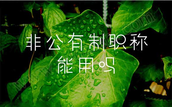 非公有制职称能用吗