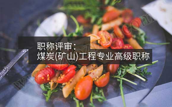 高级工程师申报